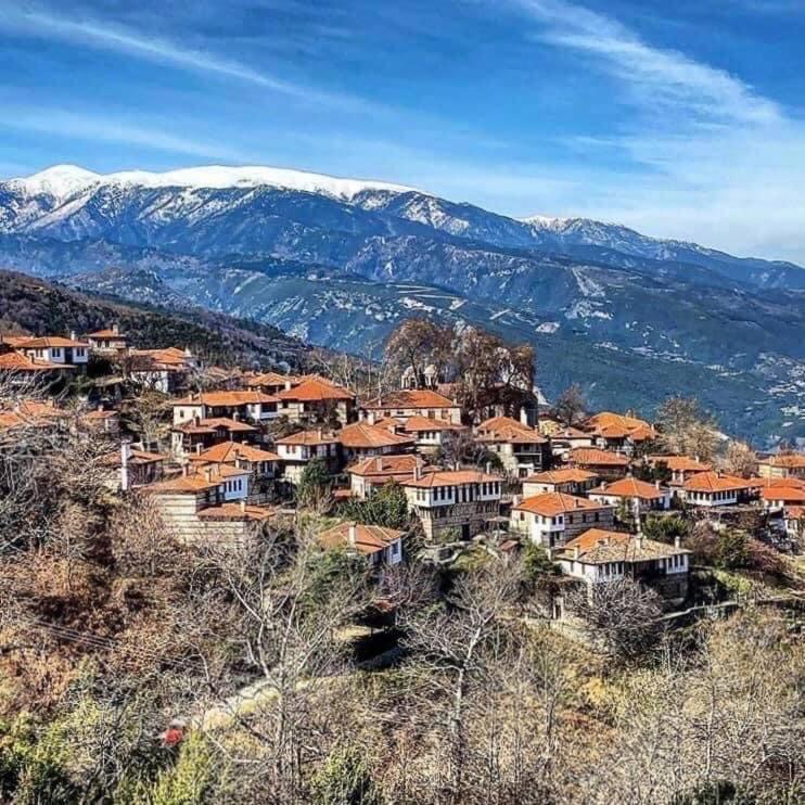 Ξενώνας Τ'Αρχοντικό Palaios Panteleimonas Extérieur photo